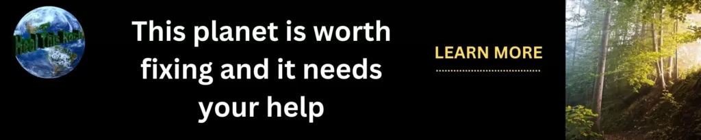 Heal This Rock website