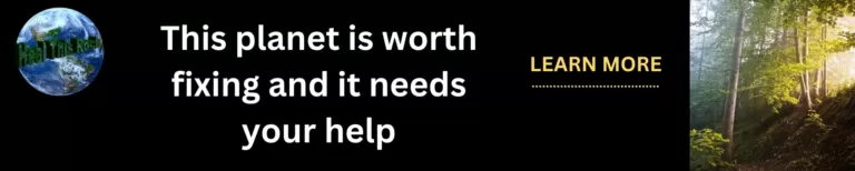 Heal This Rock website