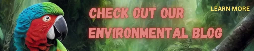 environmental blog2