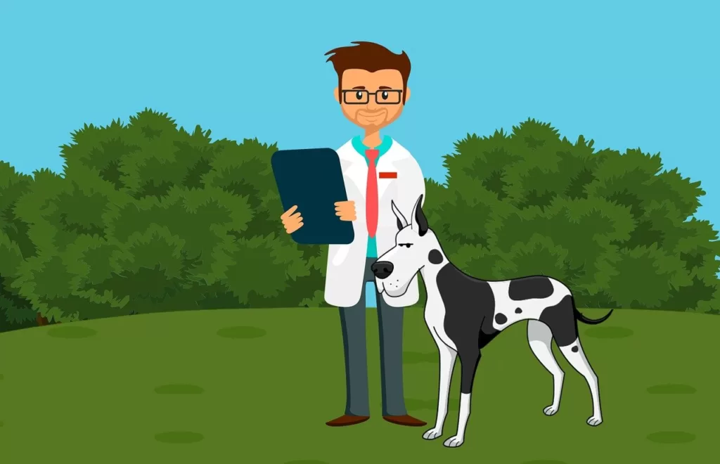 taking your pet to the vet